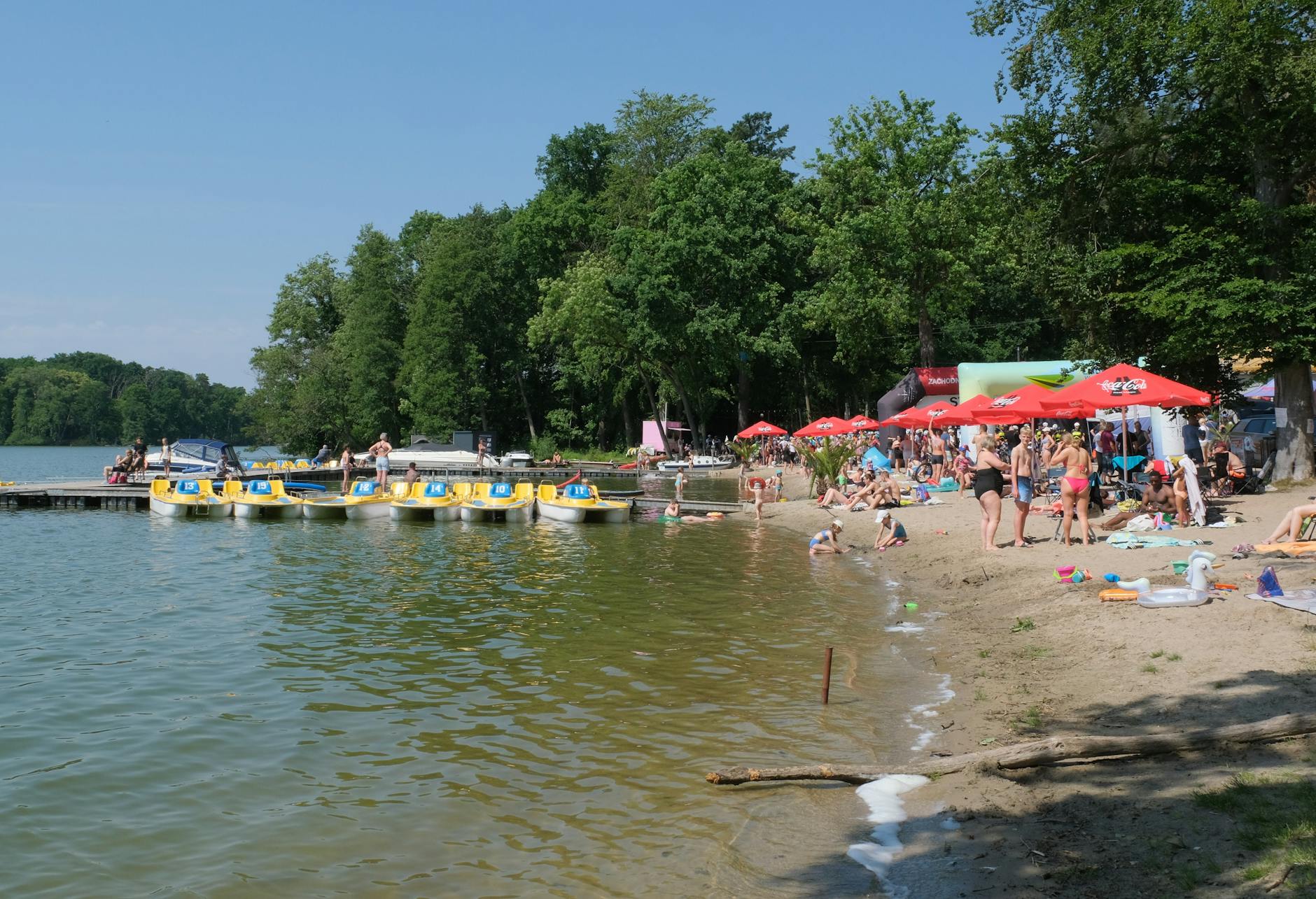 Widok na Dębicę podczas majowego weekendu z zielenią i kwitnącymi drzewami