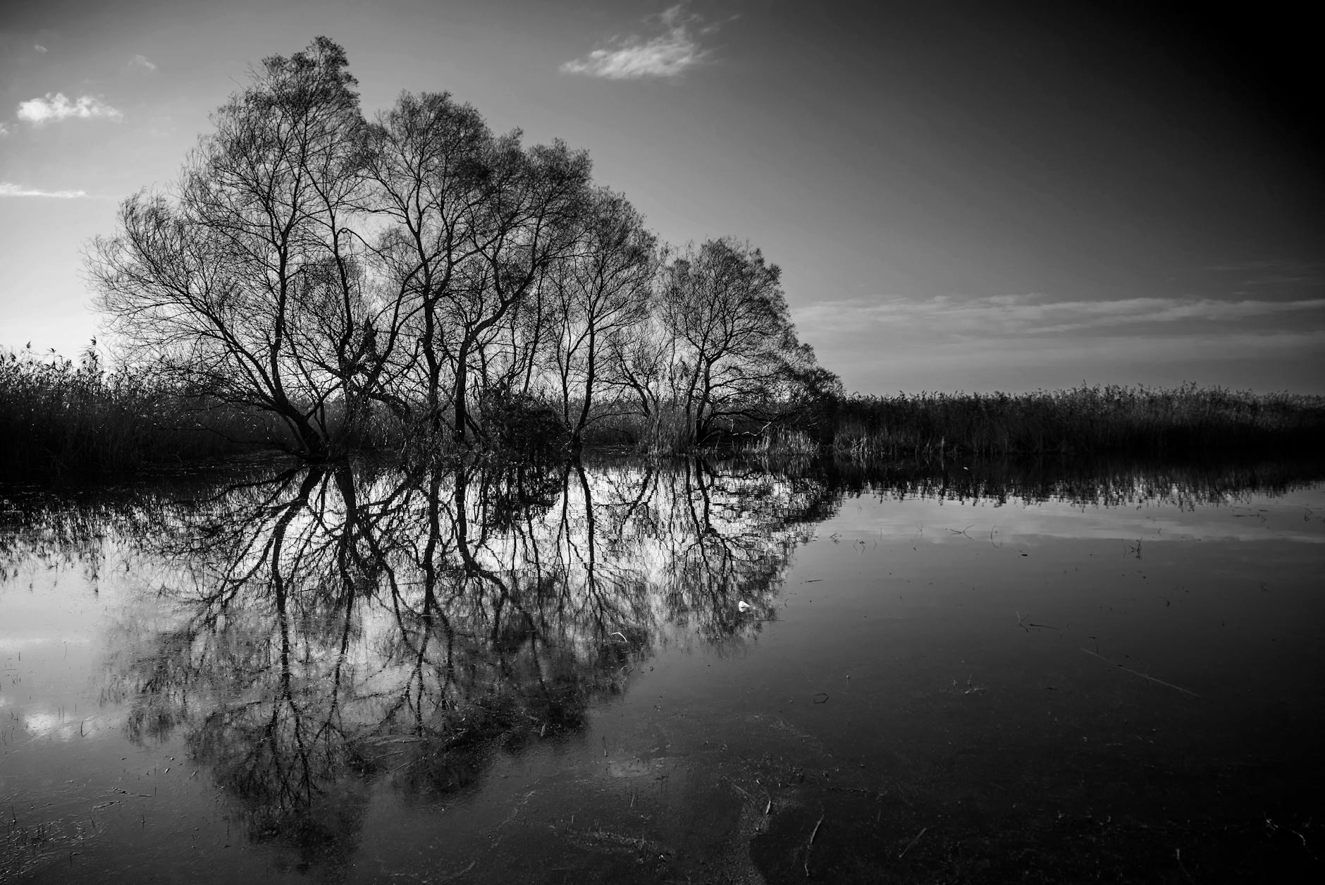 Parafiada i tradycyjne obchody wielkanocne w Dębicy na Podkarpaciu